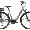 VTC électrique TREK Verve+ 1 Lowstep Galactic Grey 300wh 2 VTC électrique TREK Verve+ 1 Lowstep Galactic Grey 300wh -Vélos complets Remise 00056278 1